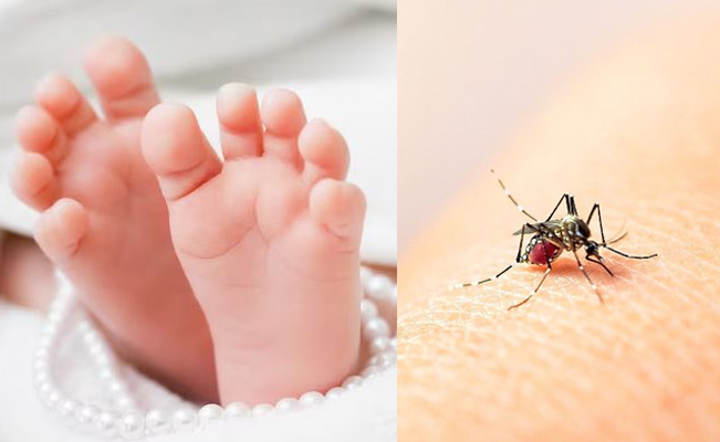 Fallece bebé tras presentar síntomas de dengue en Yucatán
